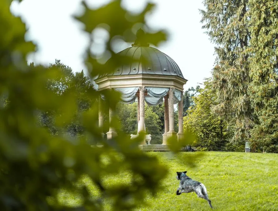 Parkpavillon hinter Blattwerk, davor ein springender Hund