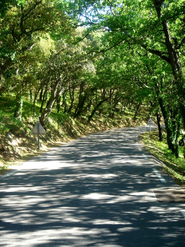 DSC01163 Memento Mori